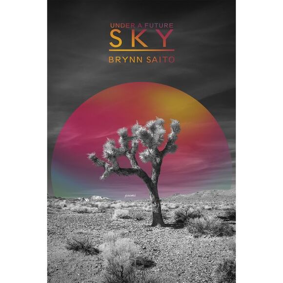 Brynn Saito Other - Under a Future Sky -- Brynn Saito